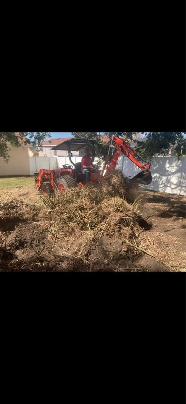 Brush pile staged for haul-off.