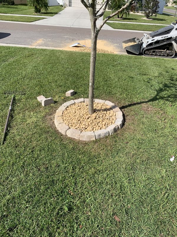 Front yard cleared and prepped for landscape work.