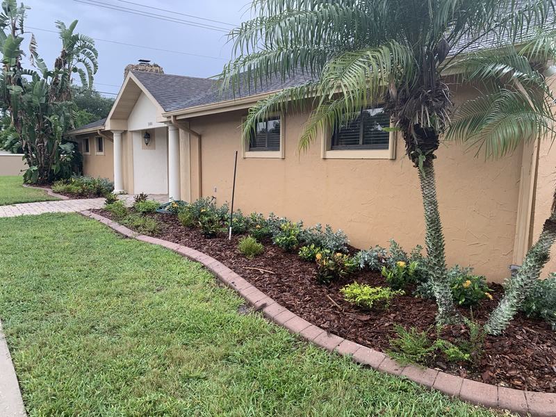 New plant bed and palm install — owner-walked.