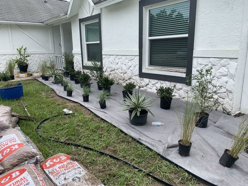 Plants prepped and laid out before placement.