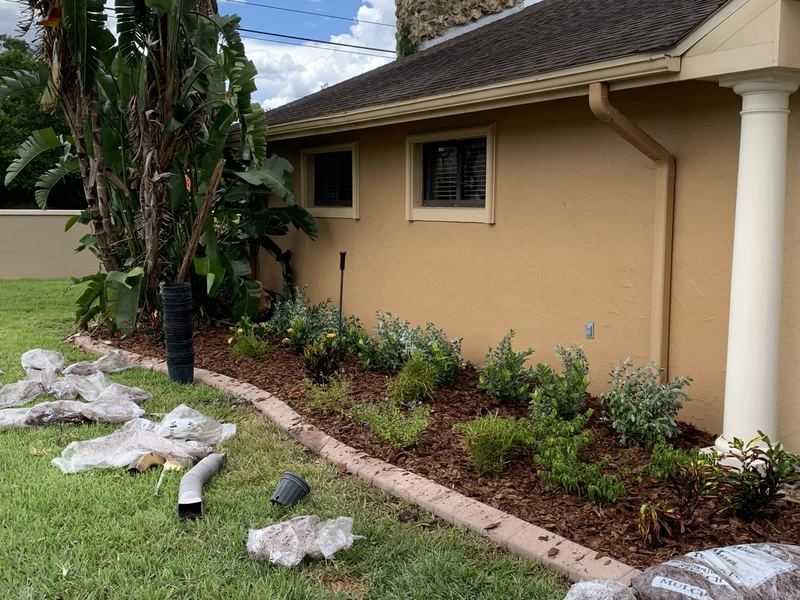 Front-bed install with palms and edging on a tan-stucco Lakeland home.