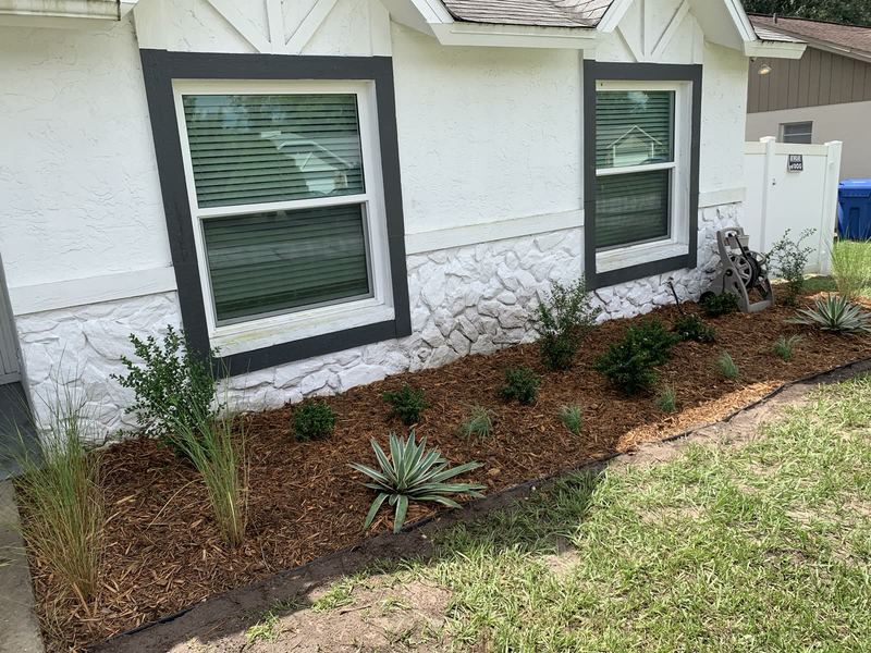 Yucca bed continuation — clean curb line.