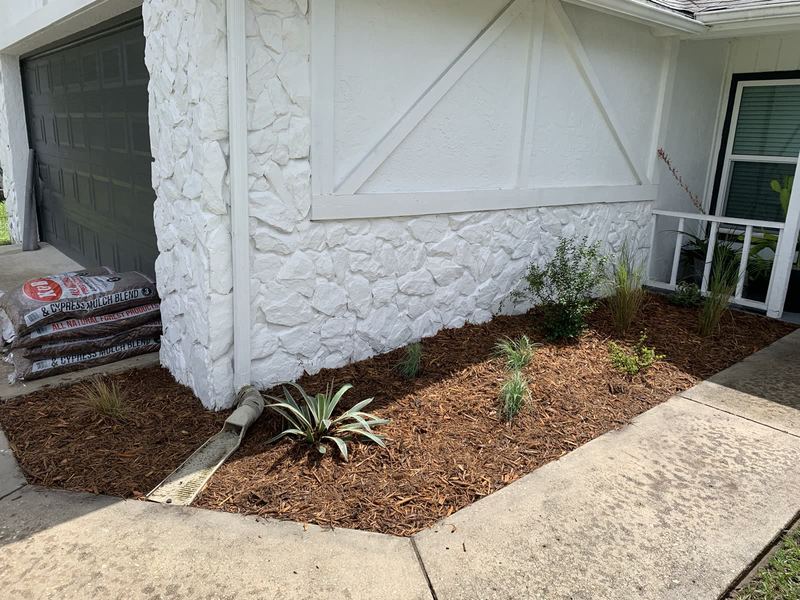 Dwarf-yucca and agave bed against a white wall.