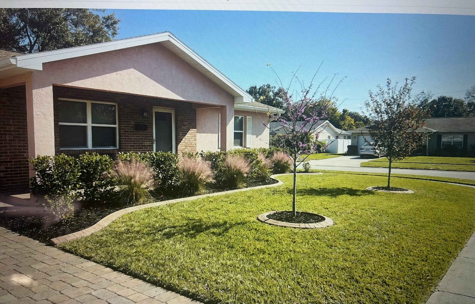 3D rendering of a front-yard refresh with shrubs and a young flowering tree